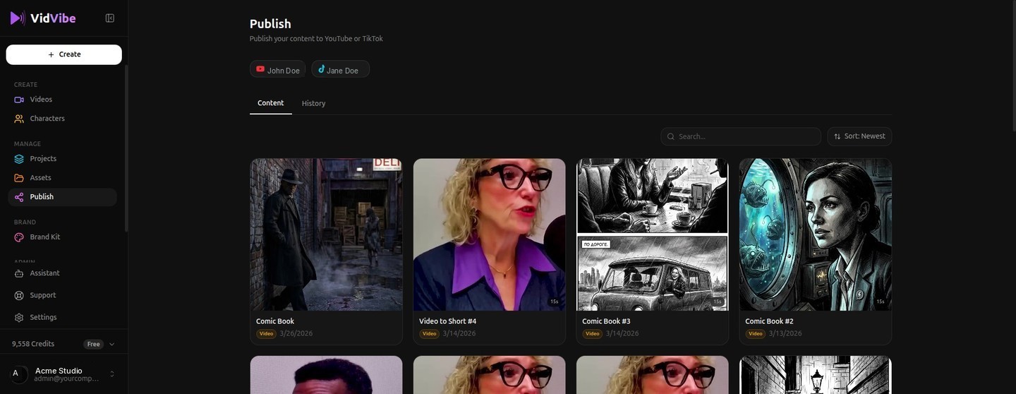 VidVibe preview